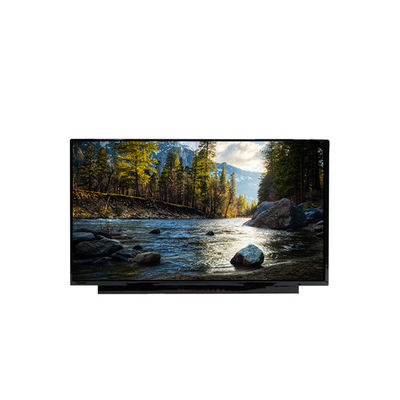 Bon prix Panneau d'écran LCD de 17,3 pouces en ligne