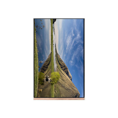 Bon prix NV103WUM-N61 10,3 pouces 1200*1920 écran LCD pour tablette en ligne