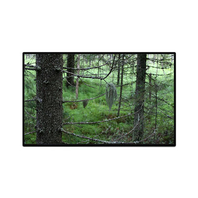 Bon prix TV101WUB-NW1-D9P0 Affichage LCD de 10,1 pouces 1200*1920 en ligne