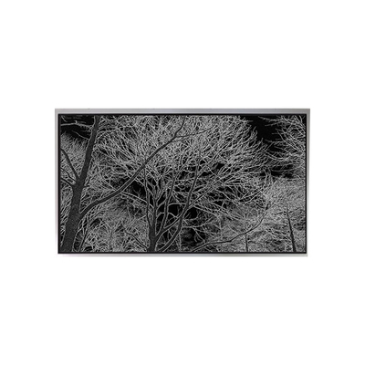 Bon prix 6.2 pouces TA062VGHX01 Moniteur LCD pour téléphone portable avec écran tactile en ligne