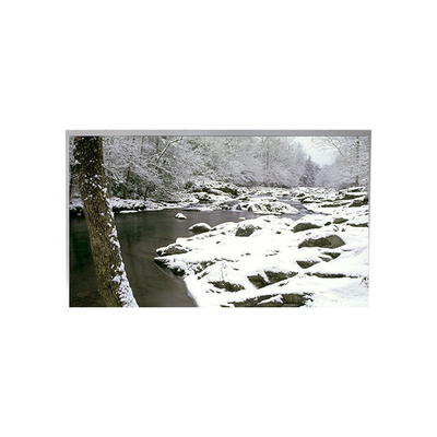 Bon prix TA055VGHM01-02 Module d'affichage LCD de 5,5 pouces 1080*1920 en ligne