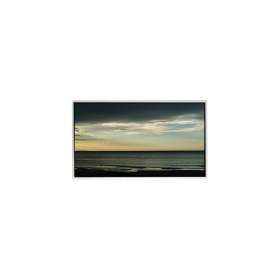 Bon prix Écran LCD TT101WSB-NW0 10,1 pouces 1024*600 en ligne