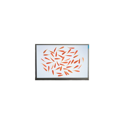 Bon prix C116NWR4-0 11,6 pouces 1366*768 IPS écran LCD en ligne