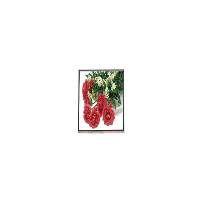 Bon prix 5Écran LCD de 5 pouces C055SWY2-1 pour téléphone portable en ligne