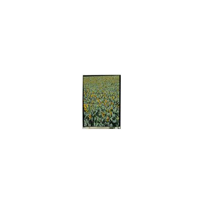 Bon prix 720*1280 LS053K3SX01 5,3 pouces tft écran LCD écran LCD pour téléphone portable en ligne