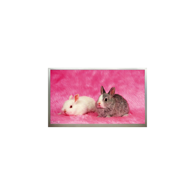 Bon prix Nouveau panneau d'affichage LCD 23,6 pouces M236H3-P02 1920*1080 résolution en ligne