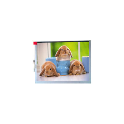 Bon prix Nouveau écran TM070SDH03 800*600 7.0 pouces TFT-LCD en ligne