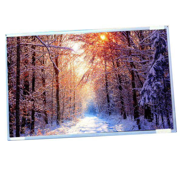 Affichage G220SW01 V0 d'AUO large écran d'affichage à cristaux liquides de 22,0 IPS de pouce avec la résolution 1680 (RVB) ×1050