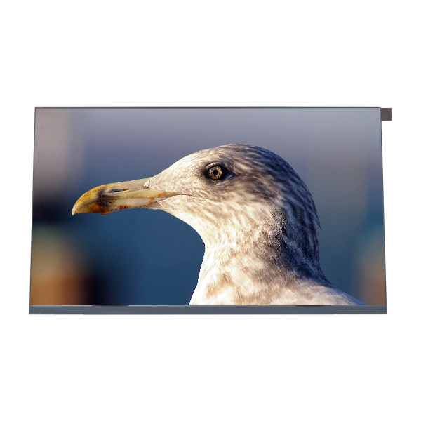 Moniteur mince d'affichage à cristaux liquides d'ordinateur portable d'écran d'ordinateur portable de pouce 30pin FHD de NV156FHM-N4C 15,6