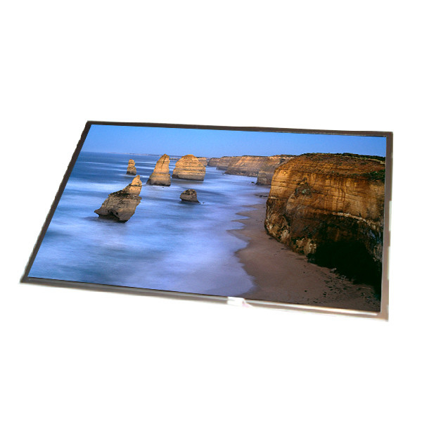 B121EW01 V1 Écran TFT LCD 12,1 pouces Pour ordinateur portable 1280*800 LVDS