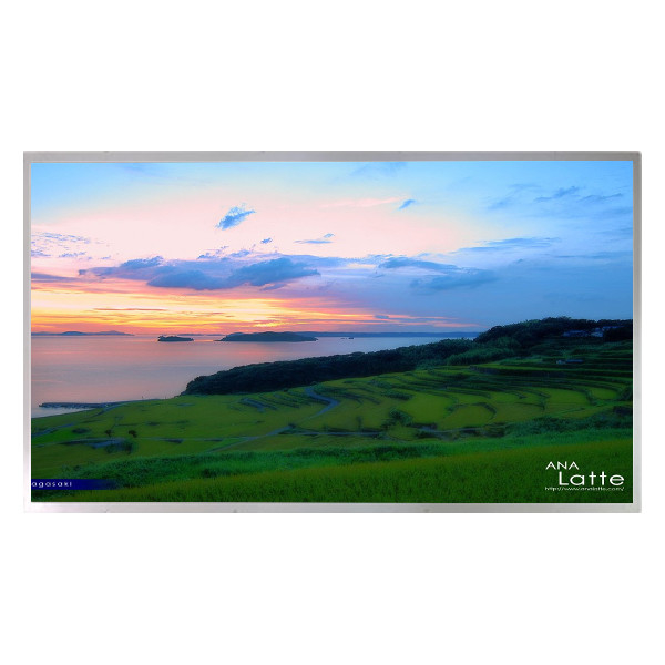 LM230W01-A2 Panneau LCD TFT a-Si de 23,0 pouces 1920*1200