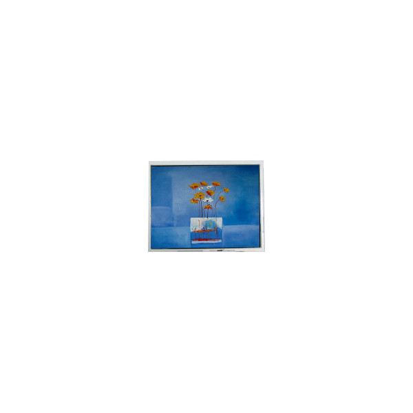 HSD080GHW3-A15 8.0 pouces 1280 * 720 affichage LCD pour haute luminosité extérieure