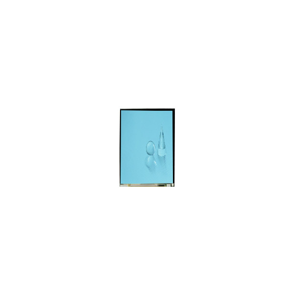 LS060B1SX01 Écran LCD de 6,0 pouces 1080*2160 1500 Cd/M2 Écran LCD tactile
