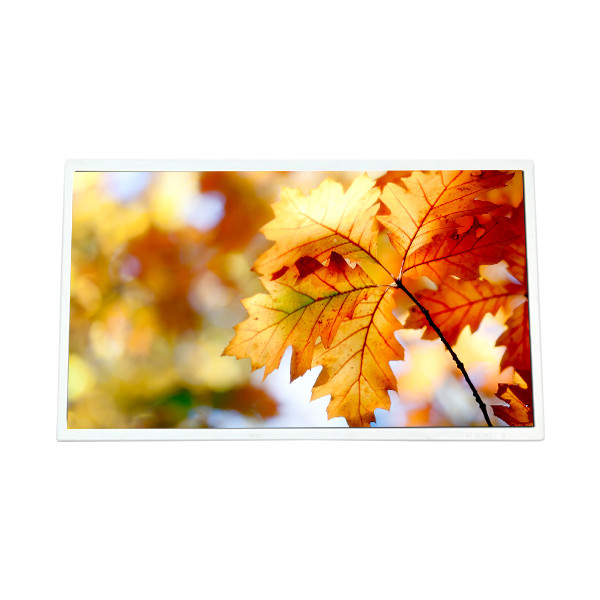 B101AW06 V1 HW4A 10,1 pouces 1024*600 écran LCD pour ordinateur portable