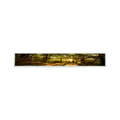 Bon prix LSI290LN01 29 module d'affichage de pouce un-SI TFT LCD LCM en ligne