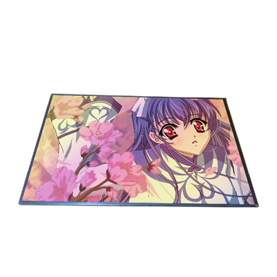 Bon prix 10,1 affichage d'écran de pouce B101EAN02.2 TFT LCD 800*1280 en ligne