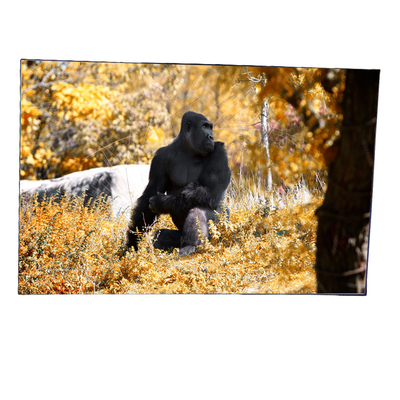 Bon prix LD550DUN-ZMA1 kits visuels tournants de épissure de mur d'affichage de displayer d'affichage à cristaux liquides de 55,0 POUCES en ligne