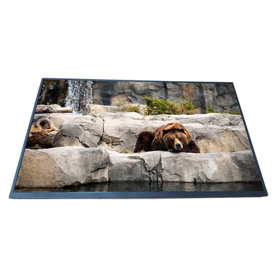 Bon prix Écran LCD d'origine BOE EV238FHM-N13 Résolution 23,8 pouces Écran LCD 1920 * 1080 en ligne