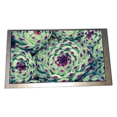 Bon prix 6.2 pouces HSD062IDW1-B00-C00 panneau LCD 800 * 480 écran LCD en ligne