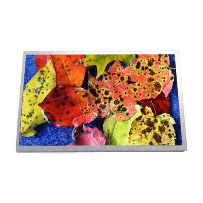 Bon prix 10.1 pouces HSD100IFW1-A02 Netbook Panneau d'affichage LCD LED en ligne