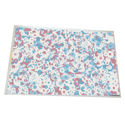 Bon prix Taille 10,1 pouces G101EAN02.5 1280*800 149PPI Panneau LCD en ligne