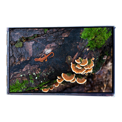 Bon prix Le tableau de bord de l'écran LCD de 7,0 pouces 450 cd/m2 en ligne