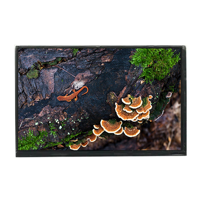 Bon prix LTD121EA4Z Panneau d'affichage LCD de 12,1 pouces 1024*768 en ligne