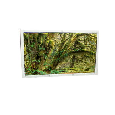 Bon prix Nouveau écran de panneau LCD A101EW01 V0 de 10,1 pouces 1280*800 en ligne