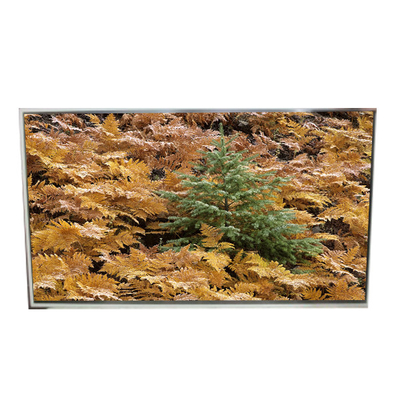 Bon prix 49.0 pouces 3840*2160 LD490EQG-FNA4 écran LCD pour signalisation numérique en ligne
