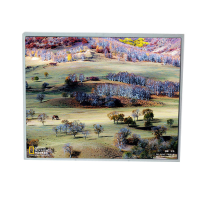 Bon prix LM200WD1-TLA9 Affichage LCD TFT de 20 pouces 1600*900 en ligne