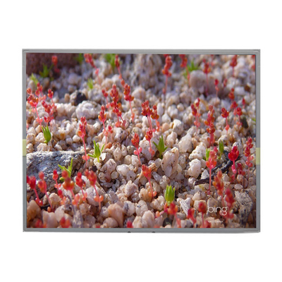 Bon prix LM201W01-A6K2 Panneau LCD de 20,1 pouces 1680*1050 Affichage LCD en ligne