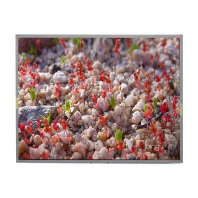 Bon prix L'écran d'affichage LCD LM2011-SL01 original de 20,1 pouces 1680*1050 en ligne