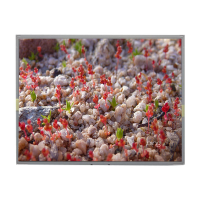 Bon prix LM201WE2-SLBC TFT LCD Module 20,1 pouces Panneau LCD pour LG en ligne