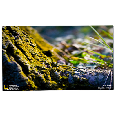 Bon prix LM238WF5-SSG4 23.8 Affichage LCD à écran tactile en ligne