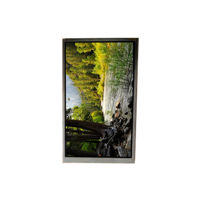 Bon prix BA050WQ2-200 5,0 pouces 480 * 272 écran LCD pour la navigation portable en ligne