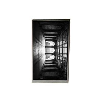 Bon prix BS055FHE-L30-6Q01 Affichage LCD de 5,5 pouces Écran LCD en ligne