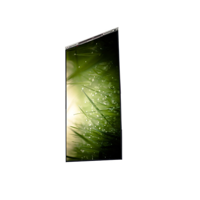 Bon prix BS055FHG-E41-6C00 5, 5 pouces affichage LCD écran LCD PANEL Pour téléphone portable en ligne