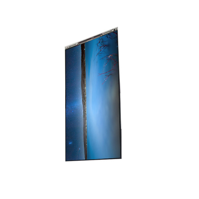 Bon prix BS055FHM-E00 Panneau d'affichage LCD de 5,5 pouces en ligne