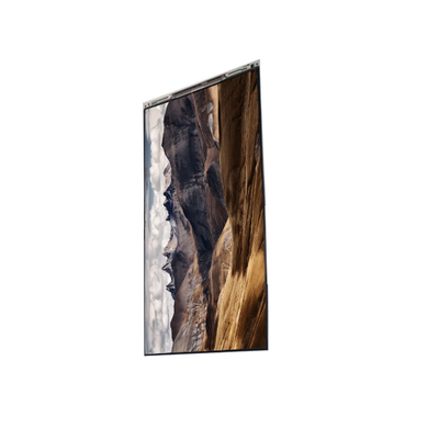 Bon prix BS055FHM-E02-6K0L Panneau d'affichage LCD de 5,5 pouces en ligne
