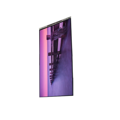 Bon prix BS055FHS-L31-6Q00 Panneau d'affichage LCD de 5,5 pouces en ligne