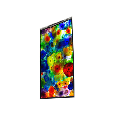 Bon prix BS060WKE-LB0-6Q00 6.0 pouces affichage LCD écran LCD PANEL Pour téléphone portable en ligne
