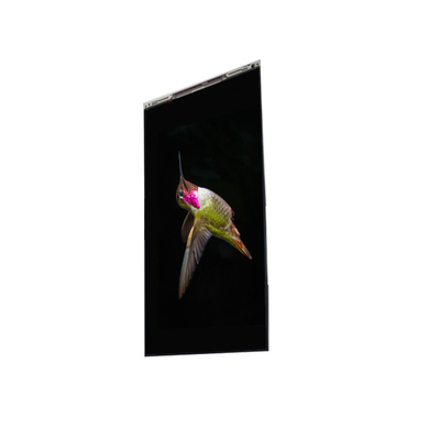 Bon prix BS062FBE-L30-6Q00 6.3 pouces affichage LCD écran LCD PANEL Pour téléphone portable en ligne