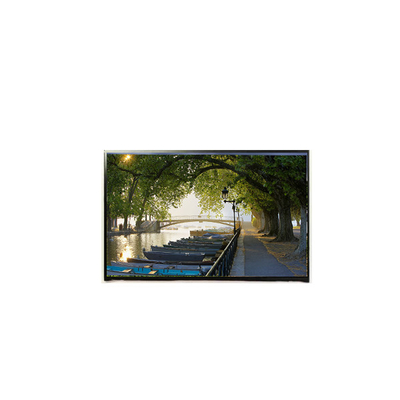 Bon prix Écran LCD TFT de 1440*900 pouces en ligne