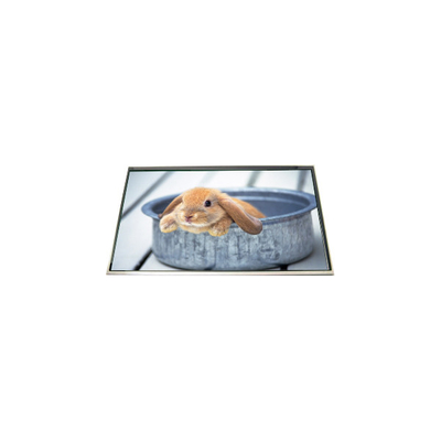 Bon prix Affichage LCD de 17,3 pouces à 60 Hz pour ordinateur portable en ligne