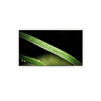 Bon prix 3840*2160 65 pouces DV650QUM-NV0 en ligne