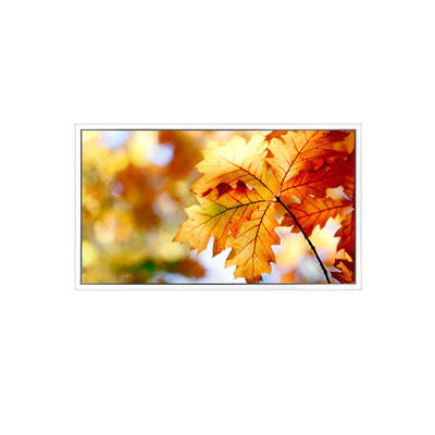 Bon prix Moniteur à écran LCD EV238FHM-N12 23,8 pouces 1920*1080 en ligne
