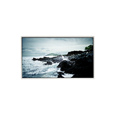 Bon prix 1366*768 HF236WHB-F20 Panneau d'affichage LCD de 23,6 pouces en ligne