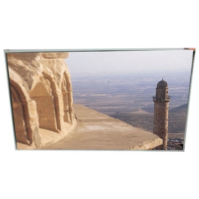 Bon prix Module de panneau LCD FHD 16,7M de 65,0 pouces en ligne