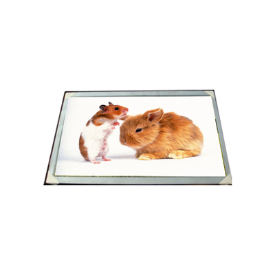 Bon prix Module de panneau LCD LM170E03-TLG6 17,0 pouces 16,7M en ligne