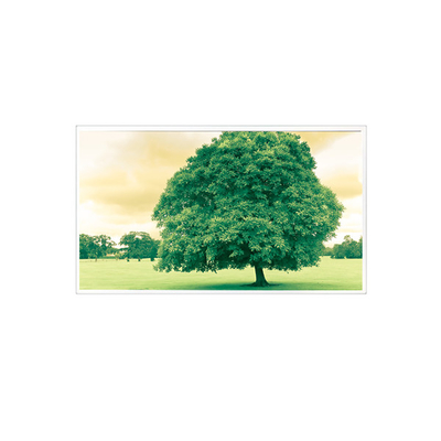 Bon prix Écran LCD de 1600*1200 TDA150-005V01 15,0 pouces 60 Hz 1000:1 en ligne